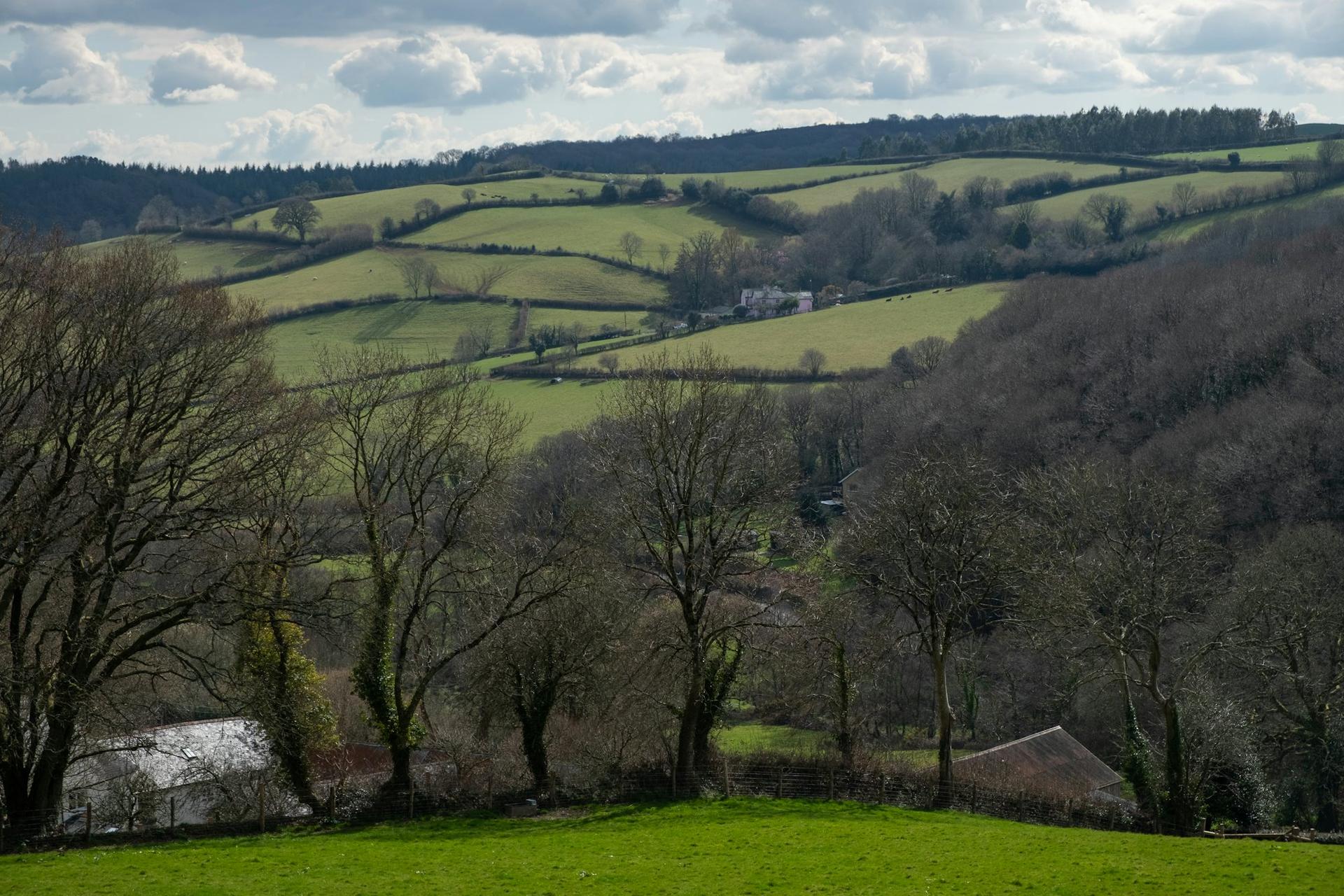 Green Devon valley with patchwork fields