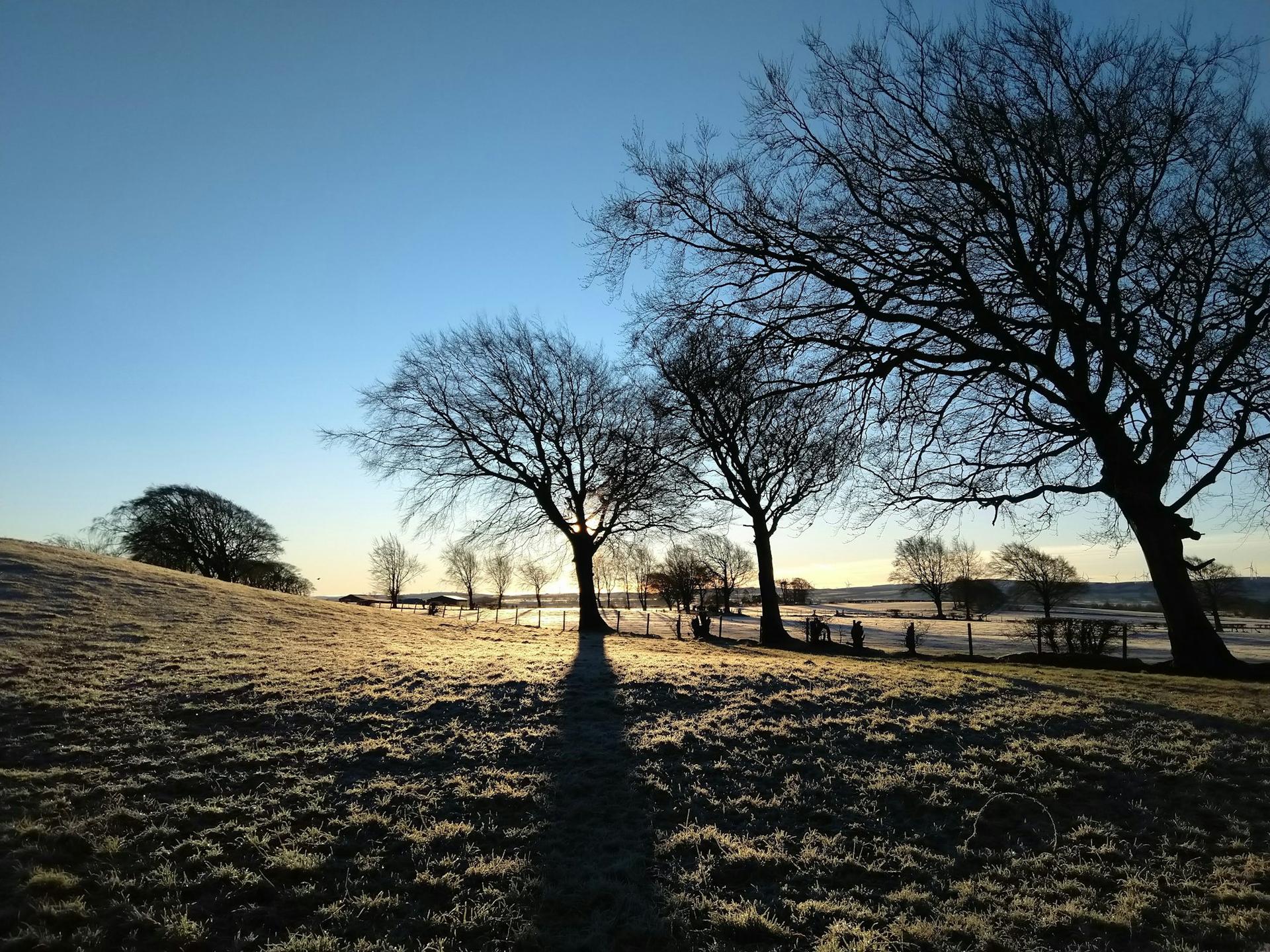 Frosty winter morning in the Devon countryside