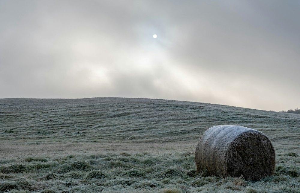 A frosty field with a hay bale